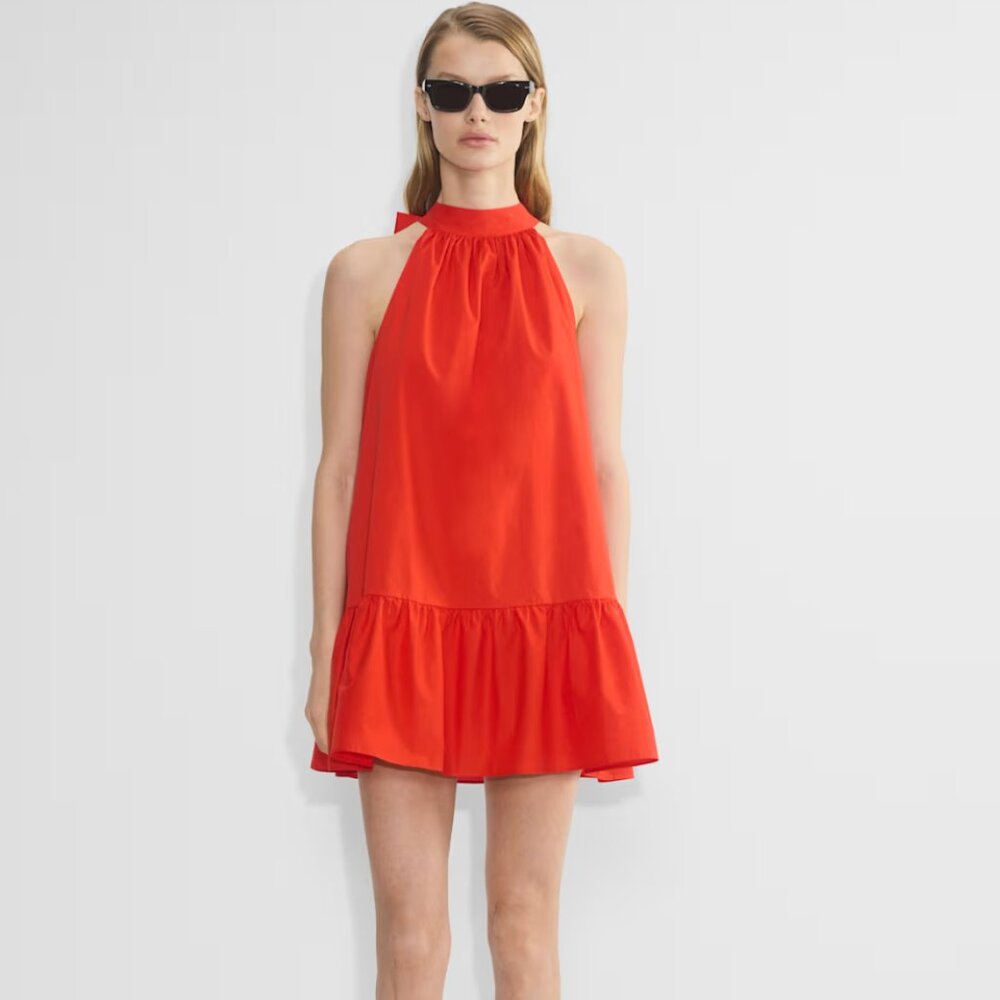 Aritzia Fawn Poplin Dress (NWT)